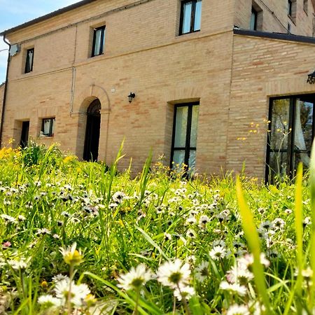 Agriturismo Campo Aperto Belvedere Ostrense エクステリア 写真