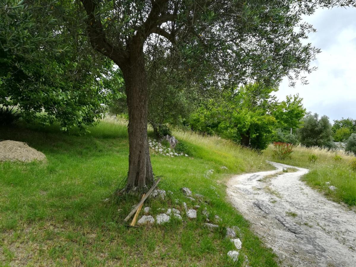 Agriturismo Campo Aperto Belvedere Ostrense エクステリア 写真