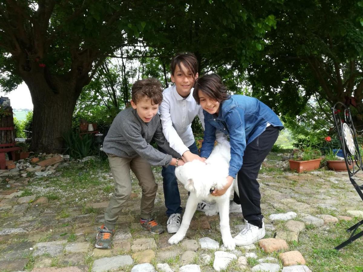 Agriturismo Campo Aperto Belvedere Ostrense エクステリア 写真