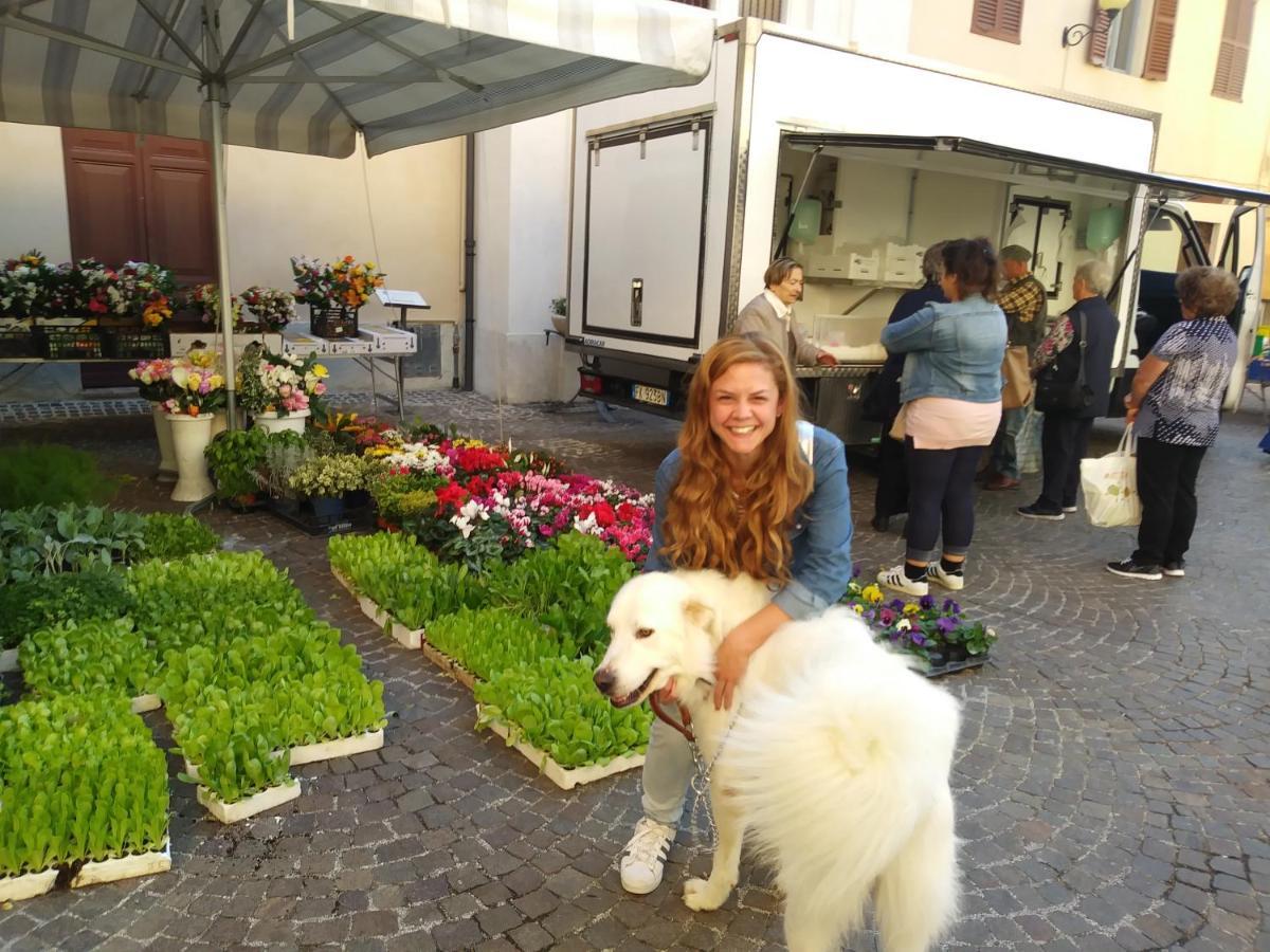 Agriturismo Campo Aperto Belvedere Ostrense エクステリア 写真