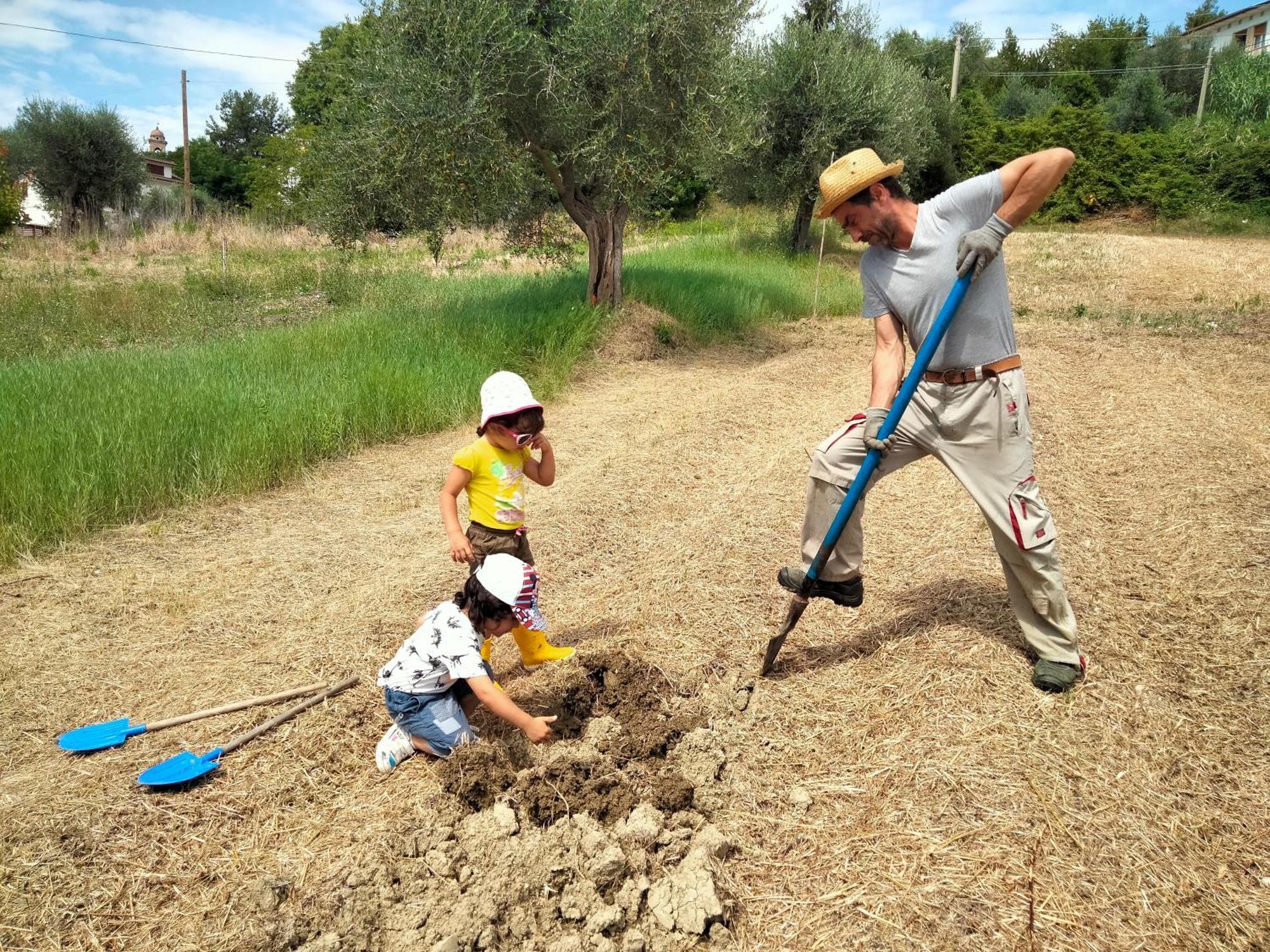 Agriturismo Campo Aperto Belvedere Ostrense エクステリア 写真