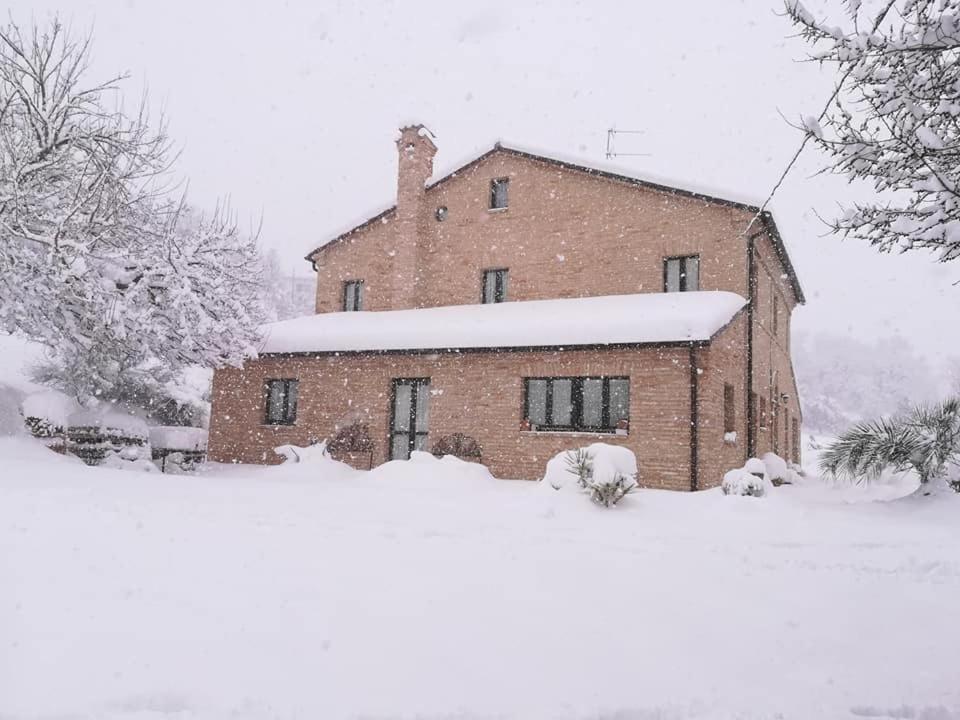 Agriturismo Campo Aperto Belvedere Ostrense エクステリア 写真