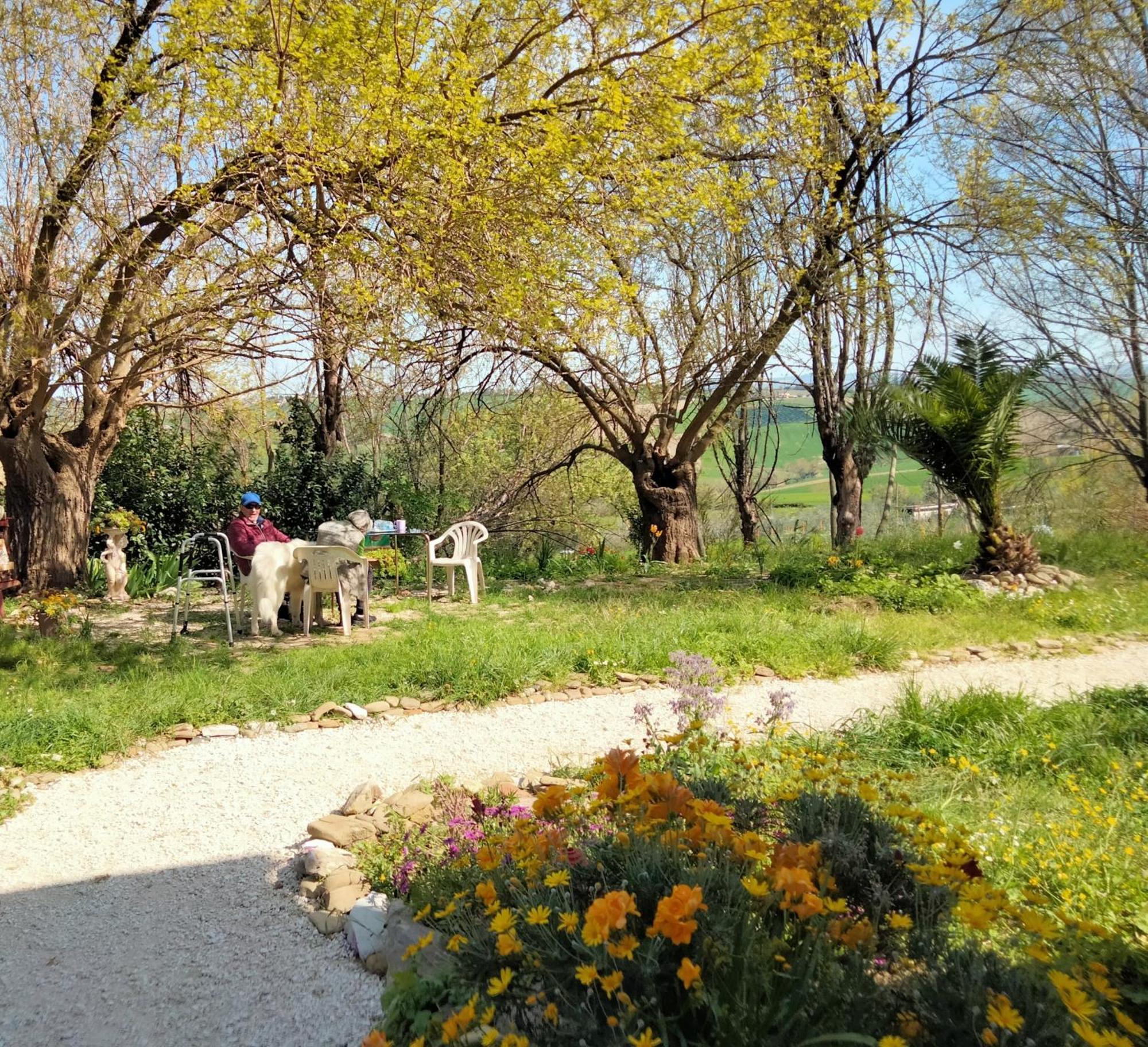 Agriturismo Campo Aperto Belvedere Ostrense エクステリア 写真